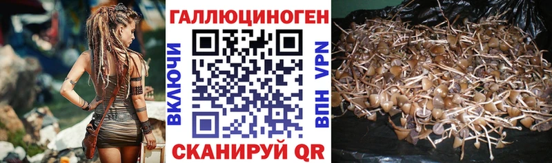 Псилоцибиновые грибы мухоморы  Покровск 