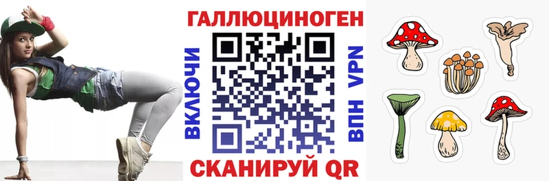 Галлюциногенные грибы Psilocybe Покровск